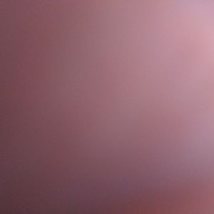 Meet your Posher, Mikey